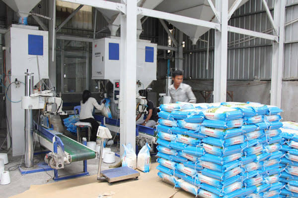 Step 6: Distribution